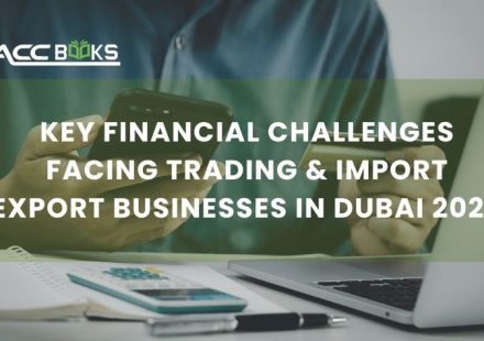 Key Financial Challenges Facing Trading & Import Export Businesses in Dubai 2026