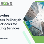 Growing businesses in Sharjah firms using AccBooks for reliable accounting services and financial management.