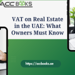 UAE property owner reviewing real estate documents with VAT percentage symbols and Dubai skyline, highlighting VAT on Real Estate rules