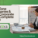 Illustrated guide showing Free Zone Companies navigating UAE corporate tax laws with Dubai skyline, tax documents, and checkmarks in the background.