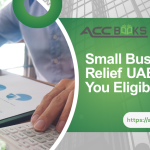 UAE business owner reviewing tax documents with a checklist and calculator, questioning eligibility for Small Business Relief in the UAE.
