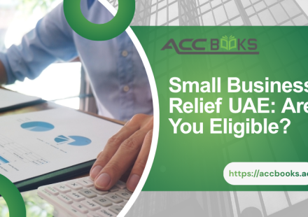 UAE business owner reviewing tax documents with a checklist and calculator, questioning eligibility for Small Business Relief in the UAE.