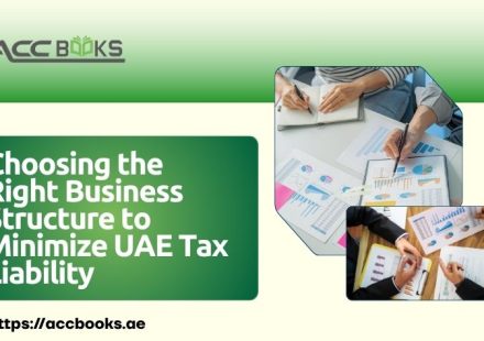 Comparison chart of UAE business structures including sole proprietorship, LLC, free zone company, and branch office, showing tax implications and liability protection.