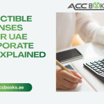 Finance manager reviewing deductible business expenses on a laptop with UAE Corporate Tax forms and receipt documents spread on the desk