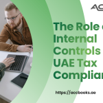 A professional business environment showing a senior finance executive and a compliance officer standing before a large digital board displaying a comprehensive flowchart of financial processes. The flowchart includes labeled nodes such as "Data Verification," "Approval Workflows," "Audit Trails," and "FTA Reporting," all interconnected by glowing lines that symbolize a robust system of Internal Controls. A shield with a UAE flag pattern is prominently displayed on the board, representing tax compliance and protection against penalties. Checklists, documents, and a magnifying glass are visible on the desk beside them, reinforcing the theme of meticulous review and governance.