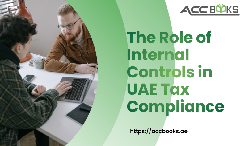 A professional business environment showing a senior finance executive and a compliance officer standing before a large digital board displaying a comprehensive flowchart of financial processes. The flowchart includes labeled nodes such as "Data Verification," "Approval Workflows," "Audit Trails," and "FTA Reporting," all interconnected by glowing lines that symbolize a robust system of Internal Controls. A shield with a UAE flag pattern is prominently displayed on the board, representing tax compliance and protection against penalties. Checklists, documents, and a magnifying glass are visible on the desk beside them, reinforcing the theme of meticulous review and governance.