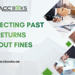Guide to correcting past VAT returns without fines, showing voluntary disclosure steps, error identification, amended filing, and penalty avoidance strategies.