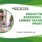 Business owner reviewing deductible expenses like rent, salaries, and marketing costs to reduce taxable profits under UAE Corporate Tax law