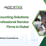 Accounting solutions for professional service firms in Dubai, showing financial reports, invoicing, and compliance tools used by consultants, law firms, and agencies