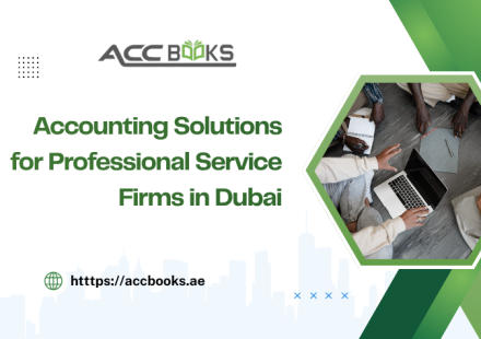 Accounting solutions for professional service firms in Dubai, showing financial reports, invoicing, and compliance tools used by consultants, law firms, and agencies