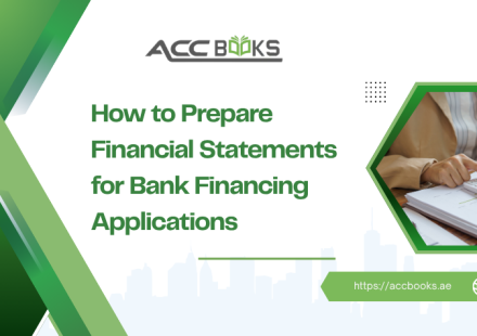 Financial statements prepared for bank financing applications, including balance sheet, income statement, and cash flow statement reviewed by an accountant