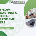 SME owner reviewing a cash flow forecast chart with income and expense projections to manage business finances effectively