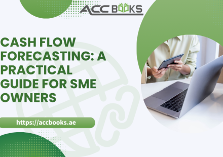 SME owner reviewing a cash flow forecast chart with income and expense projections to manage business finances effectively