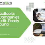 AccBooks team helping companies stay audit-ready with organized financial records, compliance checklists, and year-round audit preparation support