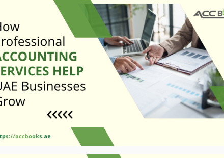 Professional accounting services team reviewing financial statements and growth reports for a UAE business
