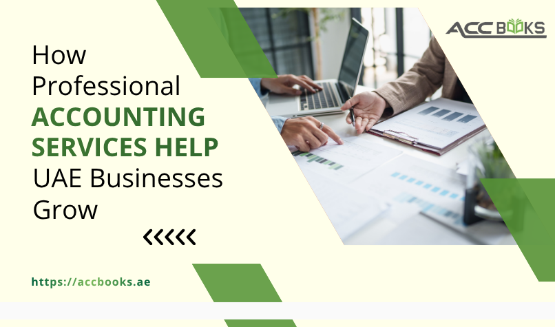 How Professional Accounting Services Help UAE Businesses Grow Professional accounting services team reviewing financial statements and growth reports for a UAE business