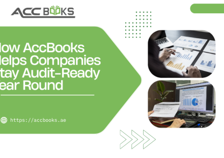 AccBooks team helping companies stay audit-ready with organized financial records, compliance checklists, and year-round audit preparation support