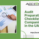 Audit preparation checklist for UAE companies showing key steps like financial statement review, document organization, and compliance verification